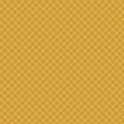 Picture of Bible Stories: Noah's Ark Double-Sided Cardstock 12"X12"-Two By Two