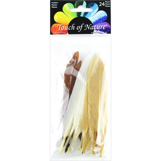 Picture of Duck Quill Feathers 24/Pkg Earth Mix