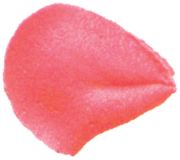 Picture of Decorating Tip #104 Petal