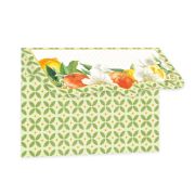 Picture of Fresh Lemonade Mini Envelopes 5/Pkg