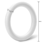 Picture of Extruded Styrofoam Wreath Bulk-10"X1.5"