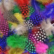 Picture of Dyed Guinea Feathers 7g Assorted Colors