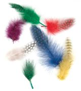 Picture of Dyed Guinea Feathers 7g Assorted Colors