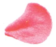 Picture of Decorating Tip #101 Petal