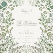 Picture of Craft Consortium Double-Sided Paper Pad 12"X12" 40/Pkg The Herbarium