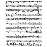 Picture of Darcie's Cling Background Mounted Rubber Stamp 4"X5.25" Music Notes