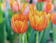 Picture of Diamond Dotz Simply Dotz Diamond Art Kit 13.8"X10.6"-Love Tulips