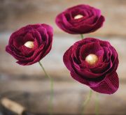 Picture of Extra Fine Crepe Paper 19.6"X78.7" Sangria