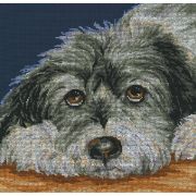Picture of Dog Melancholy Counted Cross Stitch Kit 11.5"X11.5" 14 Count