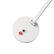 Picture of Daylight Tricolor Table Lamp White