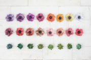 Picture of Frosted Craft Tissue Paper 12"X12" 20/Pkg Conifer-Blues
