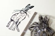 Picture of Craft Consortium A5 Clear Stamps Wildflower Meadow