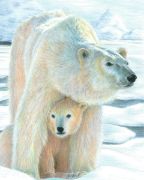 Picture of Color Pencil By Number Kit 8.75"X11.75" Polar Love