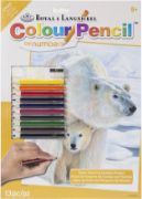 Picture of Color Pencil By Number Kit 8.75"X11.75" Polar Love