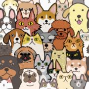 Picture of Diamond Dotz Diamond Embroidery Facet Art Box Kit 11"X11" Dogs & DOTZ