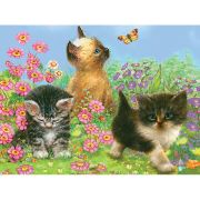 Picture of Color Pencil By Number Kit 8.75"X11.75" Kittens