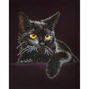 Picture of Diamond Dotz Diamond Embroidery Facet Art Kit 13.75"X17" Midnight Cat