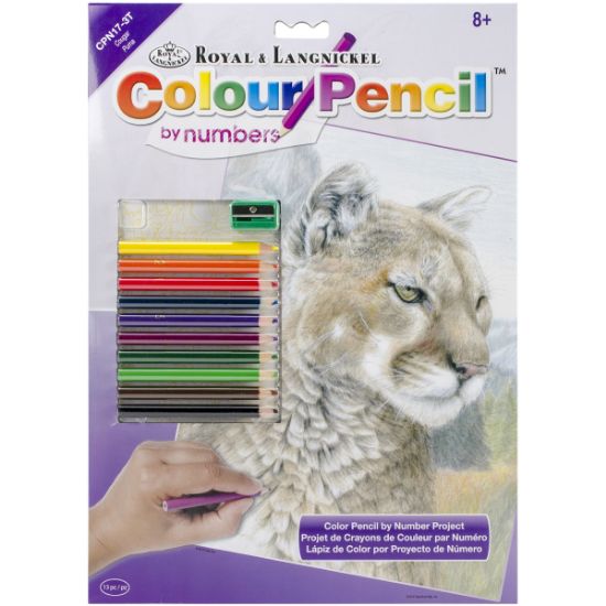 Picture of Color Pencil By Number Kit 8.75"X11.75" Cougar