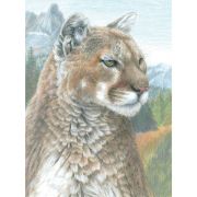 Picture of Color Pencil By Number Kit 8.75"X11.75" Cougar