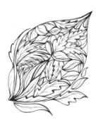 Picture of Dover Publications-Creative Haven: Calm