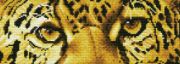 Picture of Diamond Dotz Diamond Embroidery Facet Art Kit 16.5"X5.9" Leopard Spy