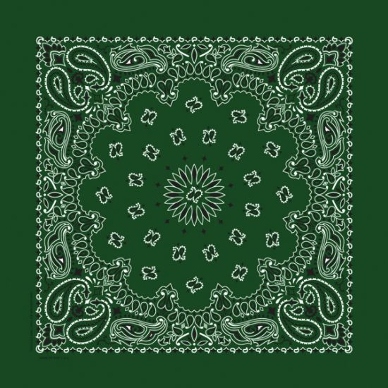 Picture of Hav-A-Hank Paisley Bandanna 22"X22" Hunter Green