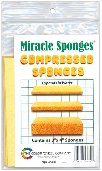 Picture of Compressed Sponges 4/Pkg 3"X4"