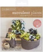 Picture of Lia Griffith Paper Stack 6"X6.5" 24/Pkg Succulents