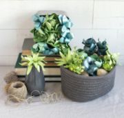 Picture of Lia Griffith Paper Stack 6"X6.5" 24/Pkg Succulents