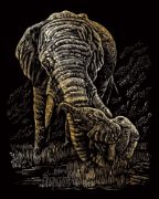 Picture of Foil Engraving Art Kit Value Pack 8.75"X11.5" Gold - Rhinoceros, Giraffe & Elephant