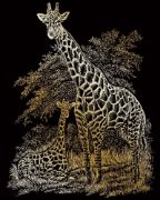 Picture of Foil Engraving Art Kit Value Pack 8.75"X11.5" Gold - Rhinoceros, Giraffe & Elephant