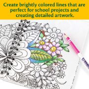 Picture of Crayola Erasable Colored Pencils 24/Pkg Long