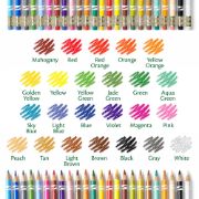Picture of Crayola Erasable Colored Pencils 24/Pkg Long