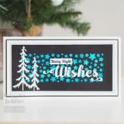 Picture of Creative Expressions Craft Die And Stamp Set By Sue Wilson-Wishes