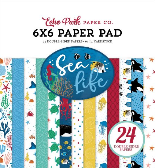 Picture of Echo Park Double-Sided Paper Pad 6"X6" 24/Pkg-Sea Life