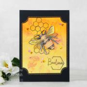 Picture of Creative Expressions A5 Clear Stamp Set By Bonnita Moaby Queen Bee