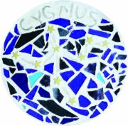 Picture of Mosaic Stepping Stone Kit Starry Night