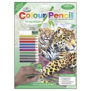 Picture of Color Pencil By Number Kit 8.75"X11.75" Jaguar Family