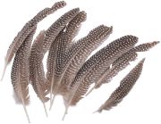 Picture of Goose Fowl Wing Quill Feathers 10/Pkg Natural
