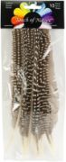 Picture of Goose Fowl Wing Quill Feathers 10/Pkg Natural