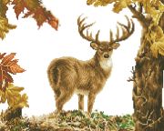 Picture of Diamond Dotz Diamond Art Kit 16.5"X20.5"-Prince Of The Forest