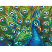 Picture of Paint Works Paint By Number Kit 14"X11" Wild Feathers