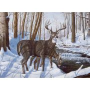 Picture of Paint By Number Kit 15.375"X11.25" Winter Bliss