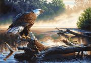 Picture of Paint Works Paint By Number Kit 20"X14" Eagle Hunter
