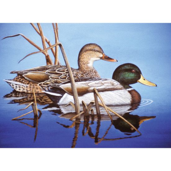 Picture of Paint By Number Kit 15.375"X11.25" Blue Water Mallards