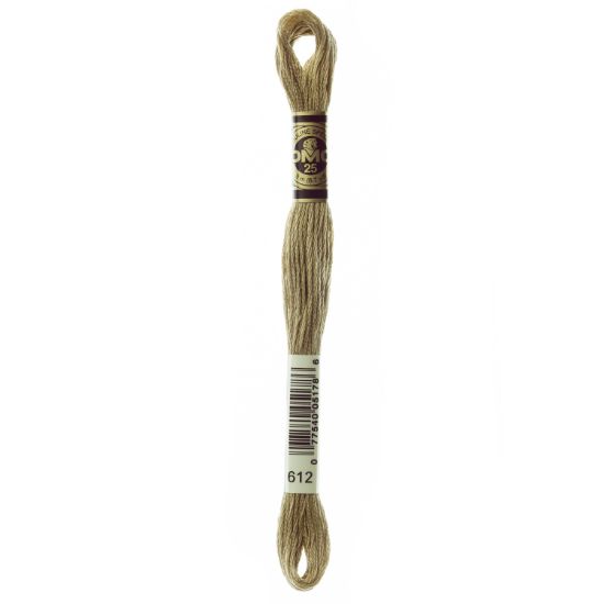 Picture of DMC 6-Strand Embroidery Cotton 8.7yd Light Drab Brown