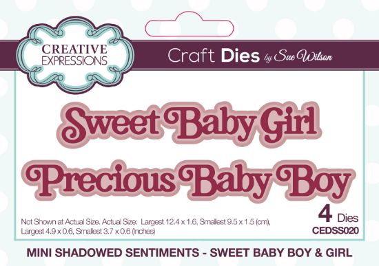 Picture of Creative Expressions Craft Dies By Sue Wilson-Mini Shadowed Sentiments Sweet Baby