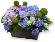 Picture of Moss Balls 2.5" 3/Pkg Green