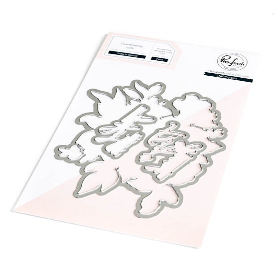 Picture of Pinkfresh Studio Die Set-Today Is Special