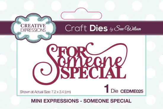 Picture of Creative Expressions Craft Dies By Sue Wilson Mini Expressions-Someone Special